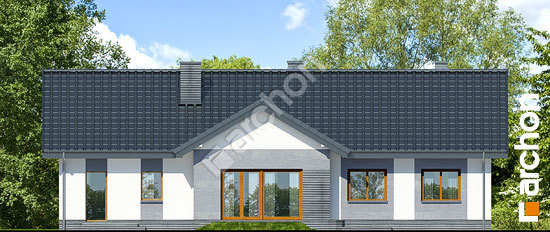 Дворовий фасад Будинок в нерінах 2 (Г2) вер.2