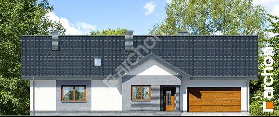 Передній фасад Будинок в нерінах 2 (Г2) вер.2