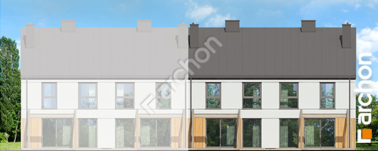 Дворовий фасад Будинок під гінко 12 (ГР2БА) вер.2