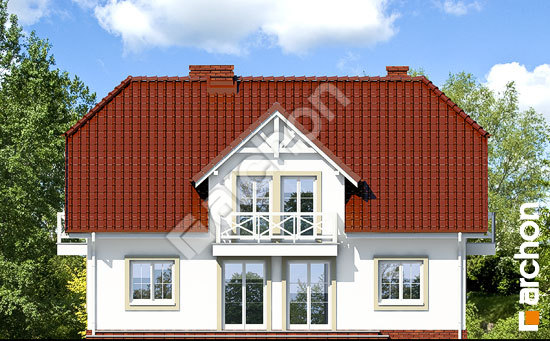 Дворовий фасад Будинок в гладіолусах 2 вер.2