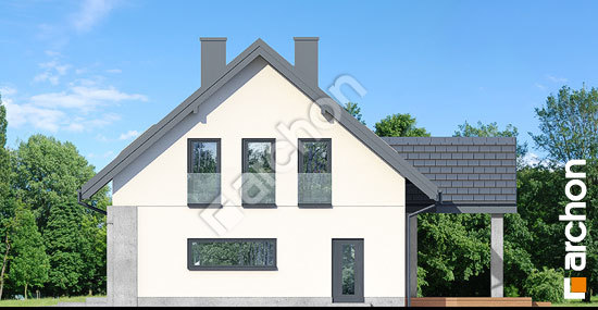 Бочний фасад Будинок у гвоздиках 2