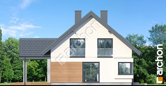 Боковой фасад Дом в гвоздиках 2