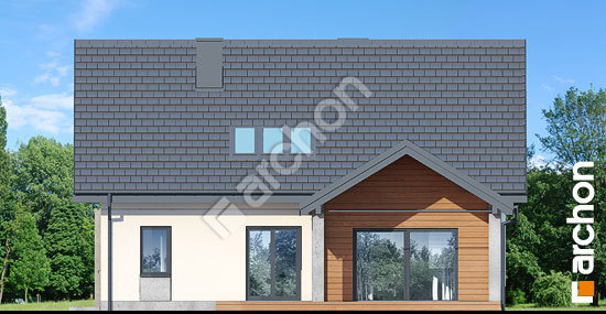 Дворовий фасад Будинок у гвоздиках 2