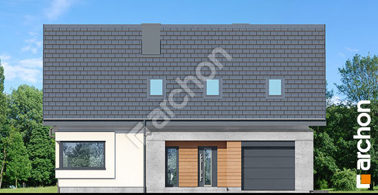 Передний фасад Дом в гвоздиках 2