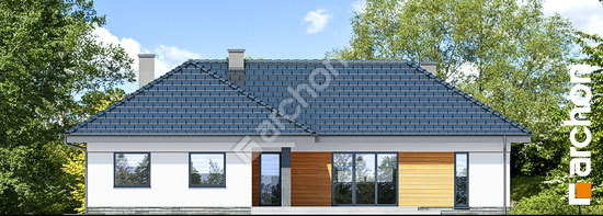 Дворовий фасад Будинок в навлоціях (Г2)