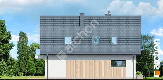 Бочний фасад Будинок в стрелітціях (А)