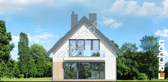 Дворовий фасад Будинок в стрелітціях (А)