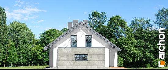 Бочний фасад Будинок в пепероміях 3