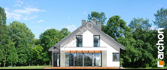 Боковой фасад Дом в пеперомиях 3