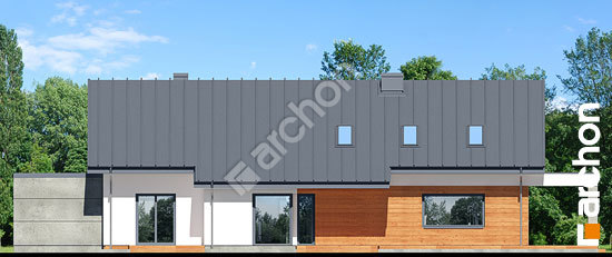 Дворовий фасад Будинок в пепероміях 3