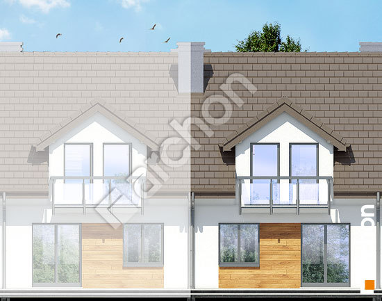 Дворовий фасад Будинок в дельфініумі вер.2