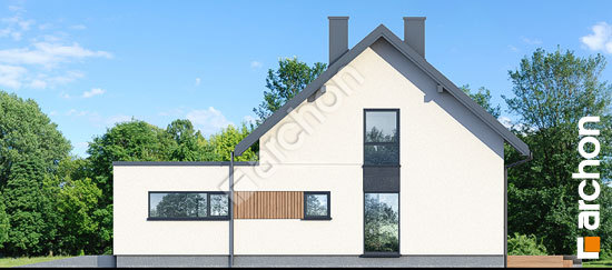 Бочний фасад Будинок в білотках (Г2Е)