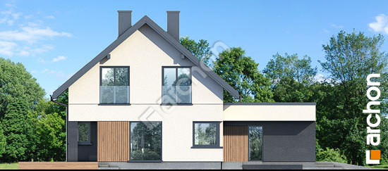 Боковой фасад Дом в белотках (Г2Е)