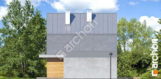 Боковой фасад Дом в аркадиях 3 (Г)