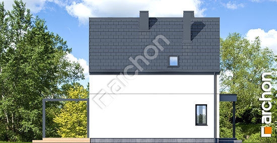 Бочний фасад Будинок в олеандрах 4