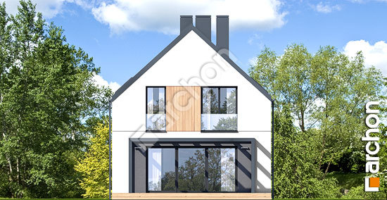 Дворовий фасад Будинок в олеандрах 4