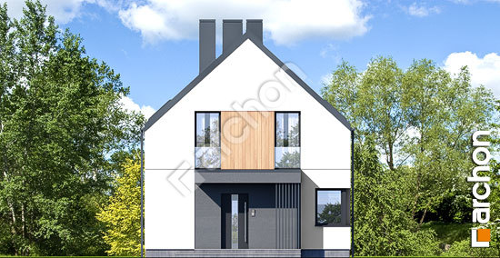 Передній фасад Будинок в олеандрах 4