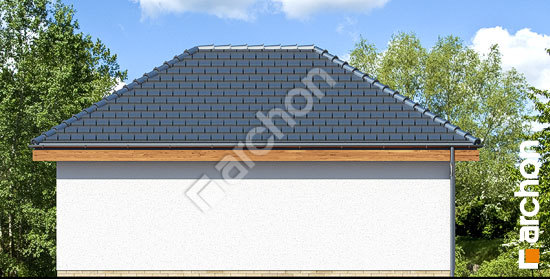 Дворовой фасад Г25 - Двухместный гараж 