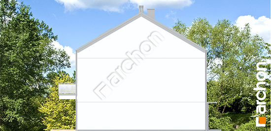 Боковой фасад Дом в фиалках 19 (Р2БЕ)