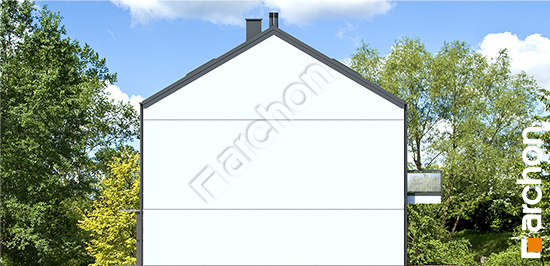 Боковой фасад Дом в фиалках 19 (Р2БЕ)