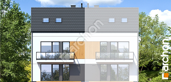 Дворовий фасад Будинок в фіалках 19 (Р2БЕ)