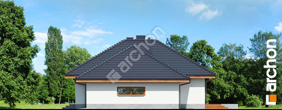 Бочний фасад Будинок в альвах (Г2Т)