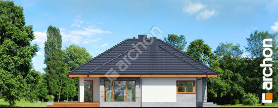 Бочний фасад Будинок в альвах (Г2Т)