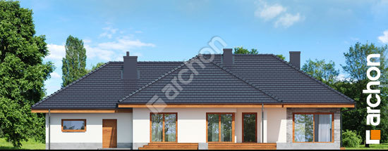 Дворовий фасад Будинок в альвах (Г2Т)