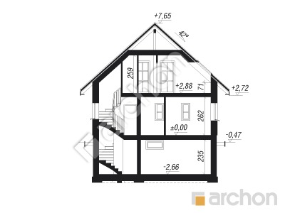 Проект дома ARCHON+ Дом в землянике 3 (П) вер.2 Розріз будинку