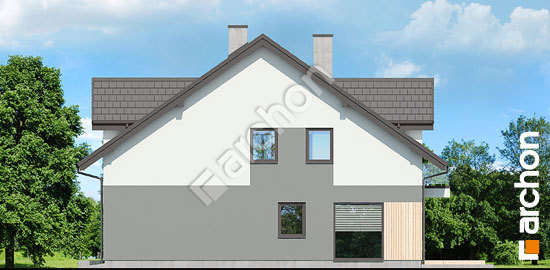 Бочний фасад Будинок під гінко 19 (Г)