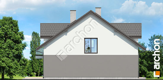 Боковой фасад Дом под гинко 19 (Г)