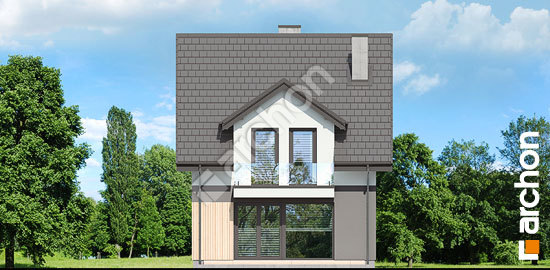 Дворовий фасад Будинок під гінко 19 (Г)