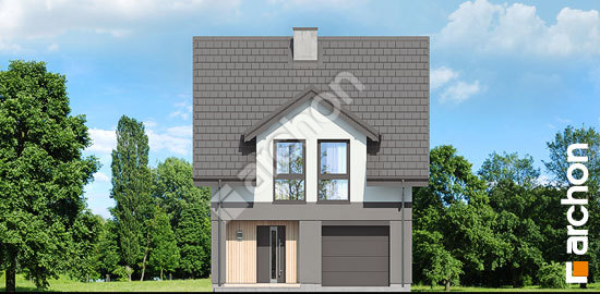 Передний фасад Дом под гинко 19 (Г)