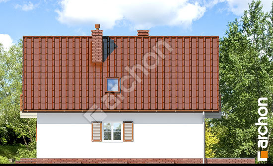 Бочний фасад Будинок під каштаном 2 (П) вер.2