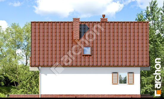 Боковой фасад Дом под каштаном 2 (П) вер.2