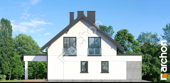 Бочний фасад Будинок в розаніях 3 (Г2)