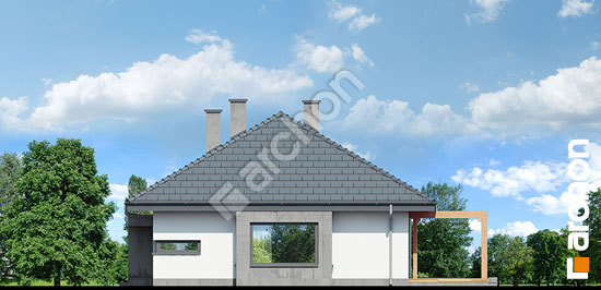 Бочний фасад Будинок під червоною горобиною (ГНА)