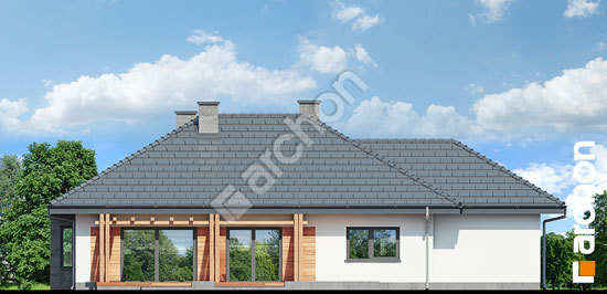 Дворовой фасад Дом под красной рябиной (ГНА)