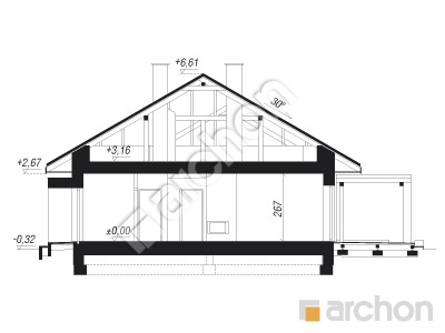 Проект дома ARCHON+ Дом под красной рябиной (ГНА) Розріз будинку