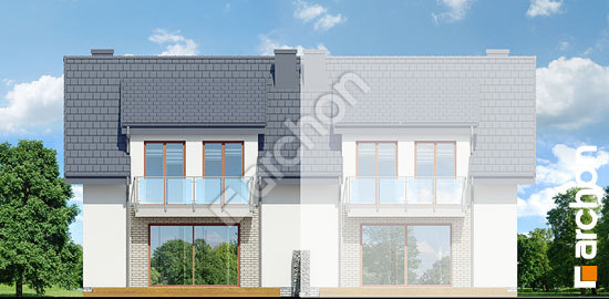 Дворовий фасад Будинок в клематисах 20 (БА) вер. 2