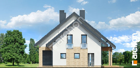 Бочний фасад Будинок в голтеріях