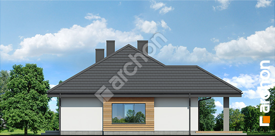 Бочний фасад Будинок під червоною горобиною 15 (Т)