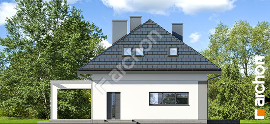 Бочний фасад Будинок в арахісах