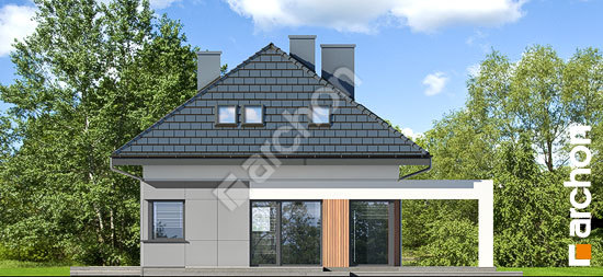 Боковой фасад Дом в арахисах