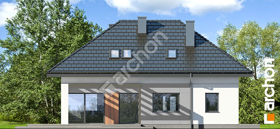 Дворовой фасад Дом в арахисах