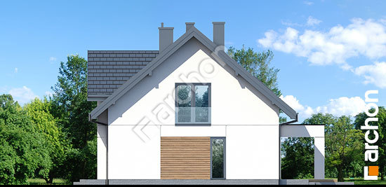 Бочний фасад Будинок в комміфорах 8