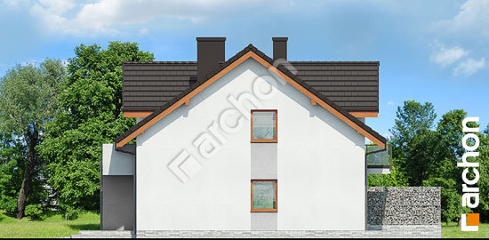 Боковой фасад Дом в клематисах 21 (Р2)