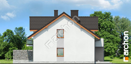 Боковой фасад Дом в клематисах 21 (Р2)