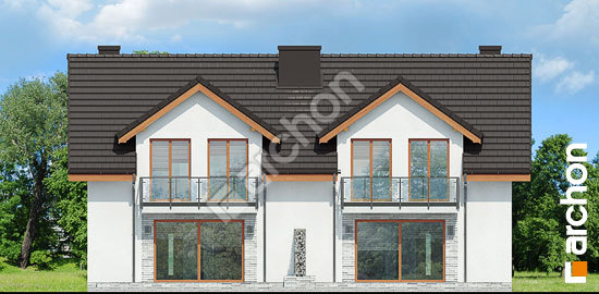 Дворовий фасад Будинок в клематисах 21 (Р2)