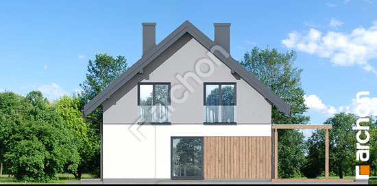 Боковой фасад Дом в аммобиуме 3